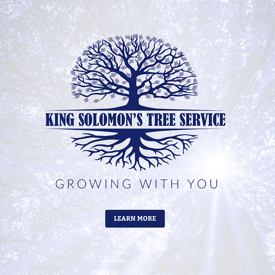 King Solomon's Trees Website Design
